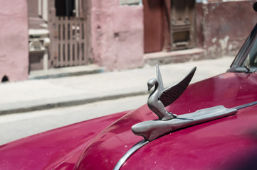 Swan emblem on a vintage car of the (now disappeared) Packard company, in Havana Cuba