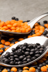 Beluga and red lentil on a spoon