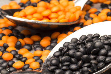 Beluga and red lentil on a spoon
