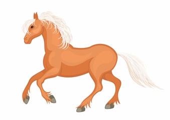 The realistic image of a beautiful horse on a white background. Vector illustration.