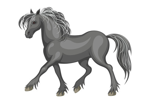 The realistic image of a beautiful horse on a white background. Vector illustration.