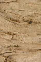 Plakat Splintered wood