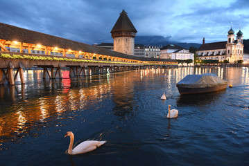 Chapel Bridge (Kapellbrucke) and Water Tower at night with swans and Jesuit Church on Lake Lucerne, Lucerne, Switzerland - obrazy, fototapety, plakaty