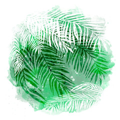 trendy green tropical background, exotic leaves, coconut palm. Vector botanical illustration, elements for design.