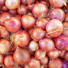 Onions top view at the local market