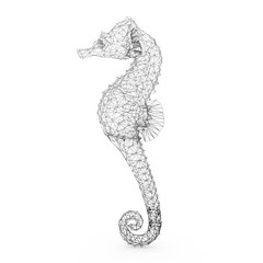 seahorse