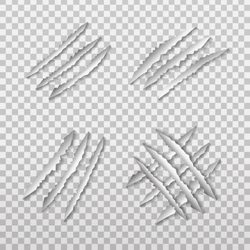 Vector set of realistic isolated lion claw scratch on the transparent background.