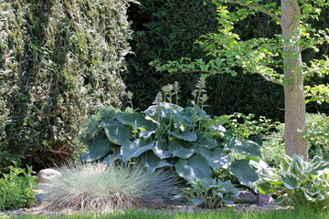 Gartengestaltung