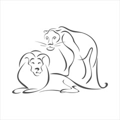 lion family