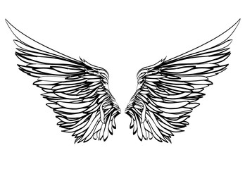 Wings. Vector illustration on white background. Black and white style