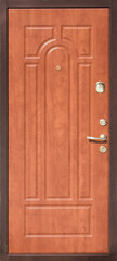 Fototapeta premium Entrance door (metal door)
