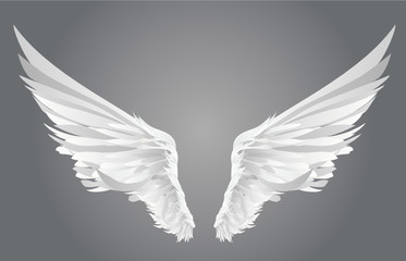 Wings. Vector illustration on white background. Black and white style