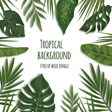 Vector frame of tropical leaves. Trendy summer tropical concept. Style of wild jungle. Background for the design of invitations, greeting cards etc.