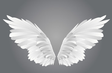Fototapeta na wymiar Wings. Vector illustration on white background. Black and white style 