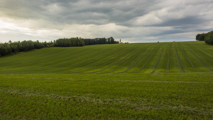 Large green planted field with trees and cloudy sky.
