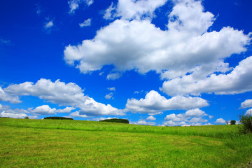 Blue sky with clouds and green field.