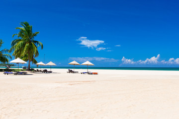 tropical beach in Sri Lanka