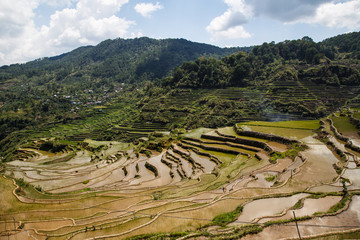 Maligcong rice terraces of the municipality in Mountain Province, Philippines