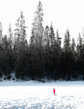 Winter at Yosemite