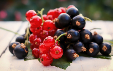 Berries of black and red currants. Fresh berries on a wooden garden table