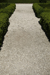 gravel path between green hedges