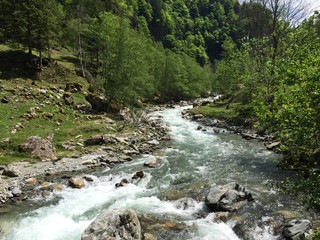 Bergbach im Haslital Schweiz