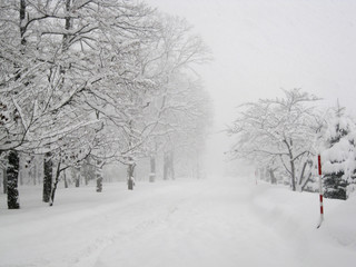 地吹雪の札幌