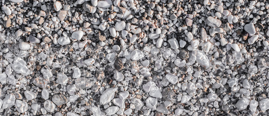 Sea pebbles on the beach under a layer of transparent water