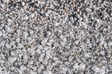 Sea pebbles on the beach under a layer of transparent water