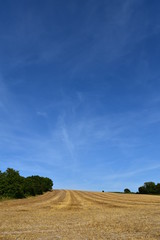 Fototapeta premium Hay bale landscape