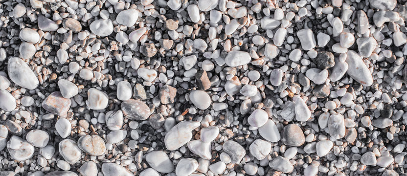 Sea pebbles on the beach under a layer of transparent water