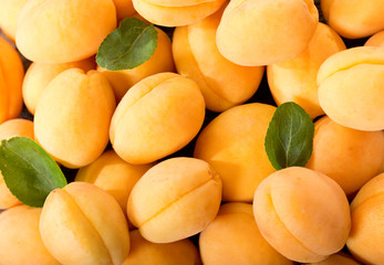 Plakat fresh apricots as background