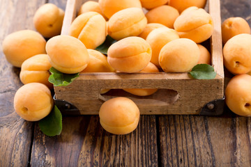 fresh apricots in a box