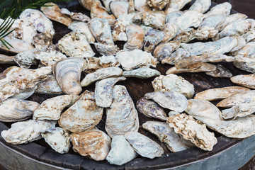 Oyster shells on wooden circle table