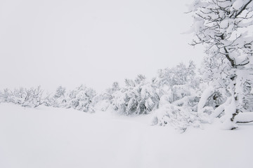 Beautiful winter field covered in thick layer of snow 