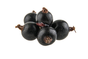 Black currant isolated on white background