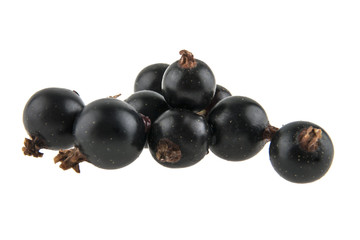 Black currant isolated on white background
