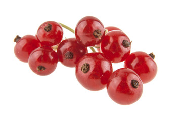 Red currant isolated on white background