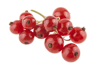 Red currant isolated on white background
