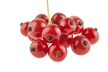 Red currant isolated on white background