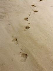 Footprints