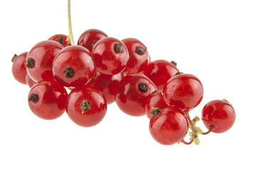 Red currant isolated on white background