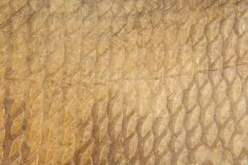 Scales of smoked bream as a background