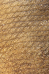 Scales of smoked bream as a background