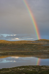 Bright colorful rainbow above the mountain lake on the Hardangervidda Plateau on brown tundra background, national park Norway