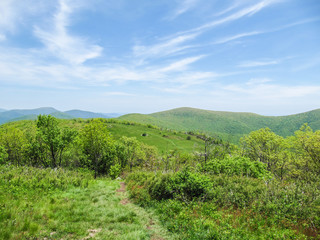 Fototapeta na wymiar Shenandoah National Park meadows and hills on Cold Mountain hike in summer
