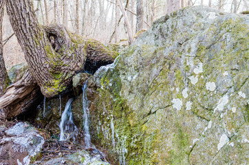 Small creek with waterfall by large rock on hike in Virginia forest mountains in winter