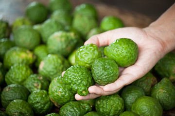 Woman hand selecting fresh bergamot for food preparation