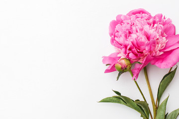 Pink peonies on white wooden background