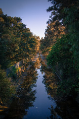 Drain through a forest